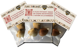 Lot de 3 Sachets souvenirs MILLENIUM