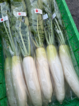 大根