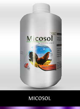 Micosol 1 L