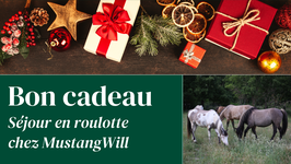 Bon Cadeau - Séjour roulotte