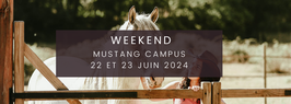 Acompte pour participation au Mustang Campus 22 et 23 Juin 2024