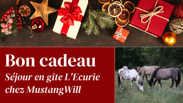 Bon cadeau - Séjour en gîte l'Ecurie