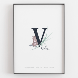 Personal ABC Print "V"