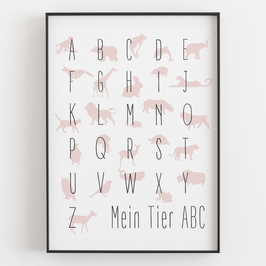 "TIER-ABC" in verschiedenen Farben
