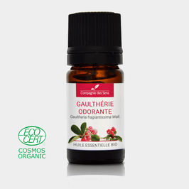 Organic essential oil of Wintergreen