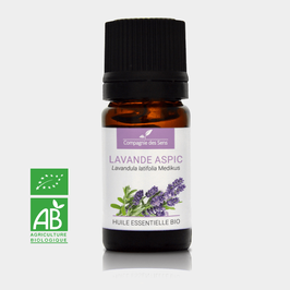 Organic essential oil of Spike Lavender