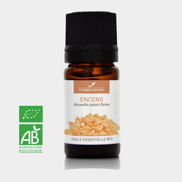 Organic essential oil of Frankincense