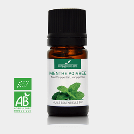 Organic essential oil of Peppermint