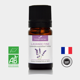 Organic essential oil of True Lavender