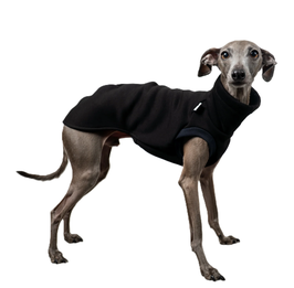 Sweatshirt Iggy - Schwarz