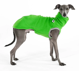 Fleece Shirt Iggy - Apple Green