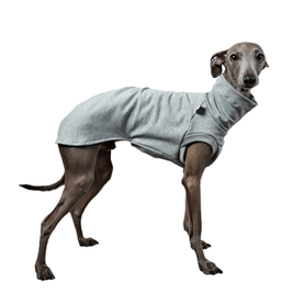 Cotton Shirt Iggy - Grey