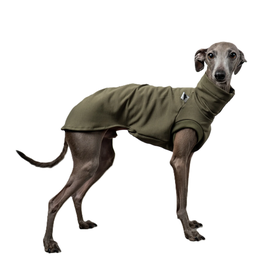 Cotton Shirt Iggy - Dark Olive