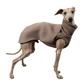 Sweatshirt Iggy - Mokka