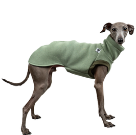 Sweatshirt Iggy - Matcha