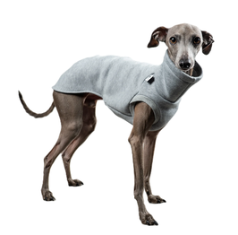 Sweatshirt Iggy - Grau
