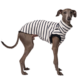 Cotton Shirt Iggy - White