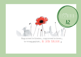 A2. De liefde gebleven
