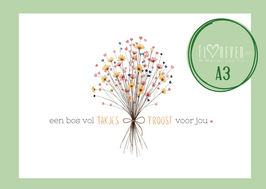 A3. Takjes troost