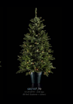 EDG Pino Con Vaso e Led