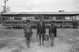 Christine Spengler. Cambodge, 1985. Le charnier de Choeung Ek.