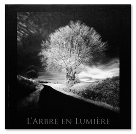 L'Arbre en Lumière