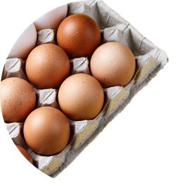 Frische Eier von Freilandhühnern