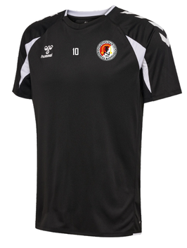TGN hmlCORE 2.0 JERSEY S/S (230826-2114)