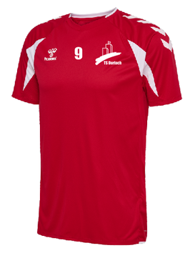 TSD hmlCORE 2.0 JERSEY S/S (230826-3946)