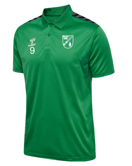 SV NIEDERBÜHL hmlAUTHENTIC FUNCTIONAL POLO (219991-6235)