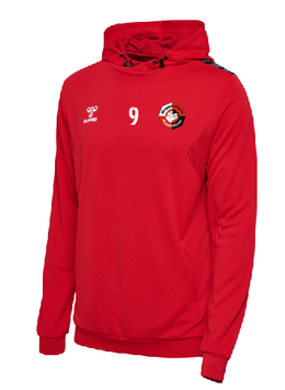 SGMK hmlAUTHENTIC PL HOODIE (219976-3062)