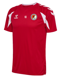 TGN hmlCORE 2.0 JERSEY S/S (230826-3946)
