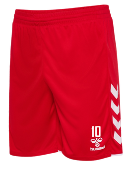 TGN hmlCORE 2.0 SHORTS (230829-3946)