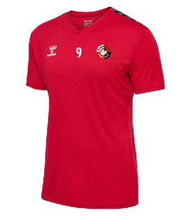 SGMK hmlAUTHENTIC PL JERSEY (219964-3062)