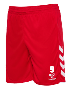 SG OG hmlCORE 2.0 SHORTS (230829-3946)