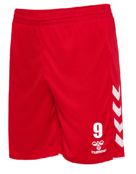 SG JHA hmlCORE 2.0 SHORTS (230829-3062)