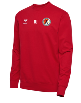 TGN hmlGO 2.0 Sweatshirt (224835-3062)