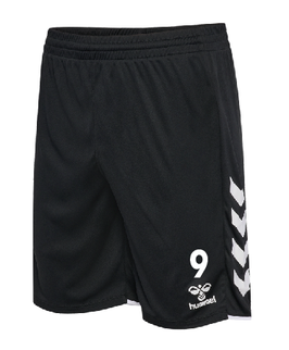 SG KIT/MTV hmlCORE 2.0 SHORTS WOMAN (230831-2114)