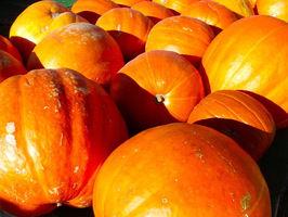 Herbstfest
