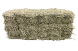 Knabberheu Ballen Pack (1.Schnitt grob)
