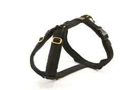 GESCHIRR EASY mit Softshell schwarz & Gurtband schwarz