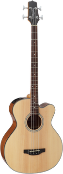 Takamine GB-30