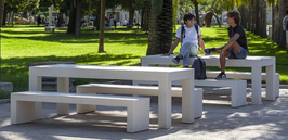 TABLE PIQUE-NIQUE BETON DUO TEVA