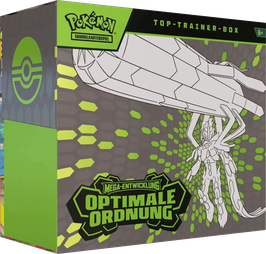 Top Trainer Box - Optimale Ordnung