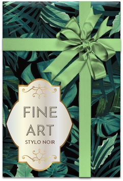 OFFRE FORMULE FINE ART - STYLO NOIR