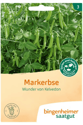 demeter Saatgut Markerbse Wunder von Kelvedon