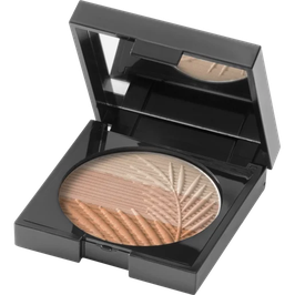 Matt Bronzing Powder