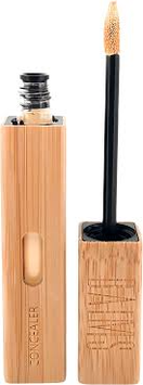 CONCEALER
