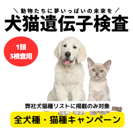 1頭→3検査同時申込み専用