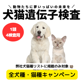 1頭→4検査同時申込み専用